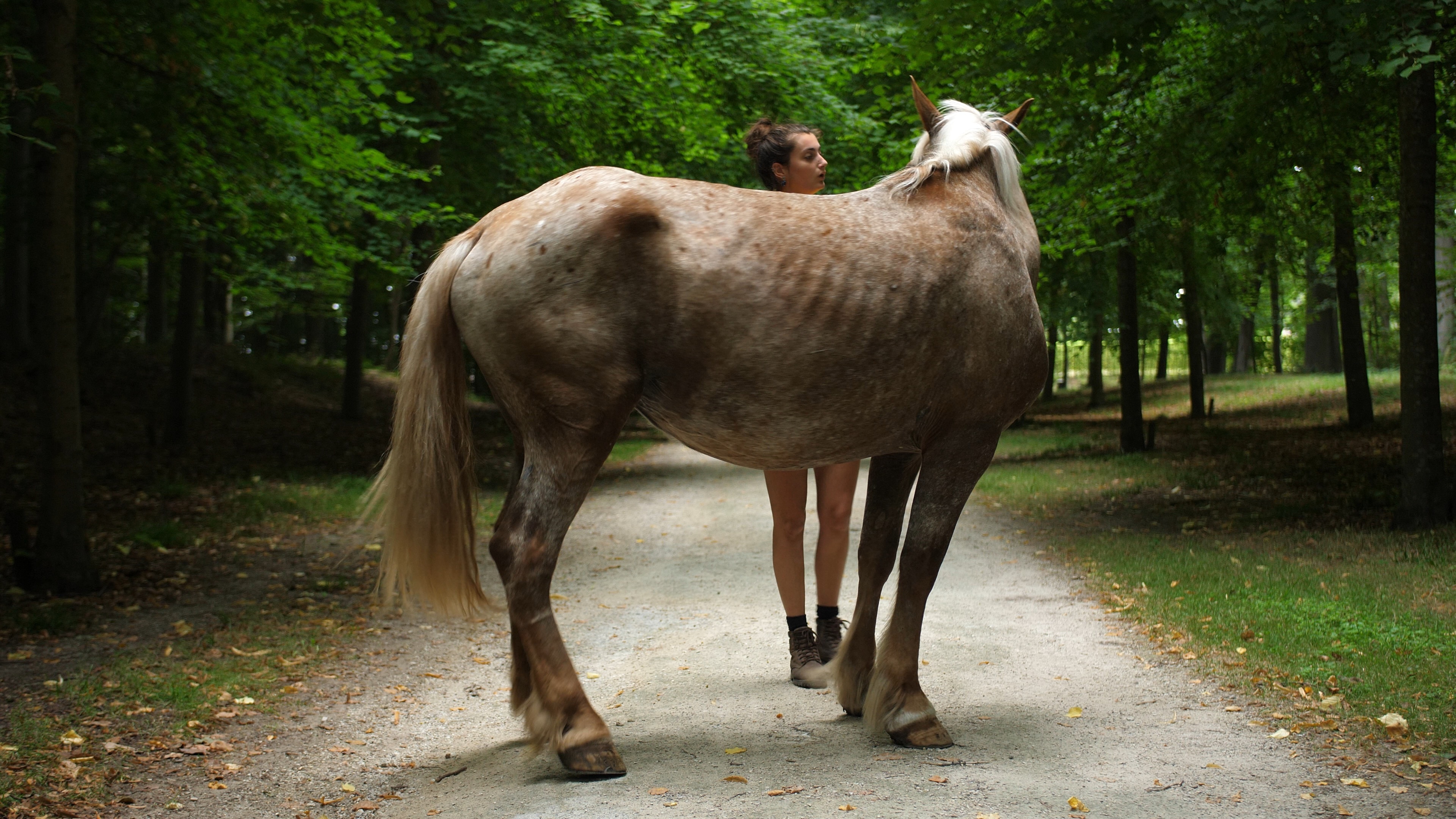 Hand power, horse labor and dance ©Evi Cats